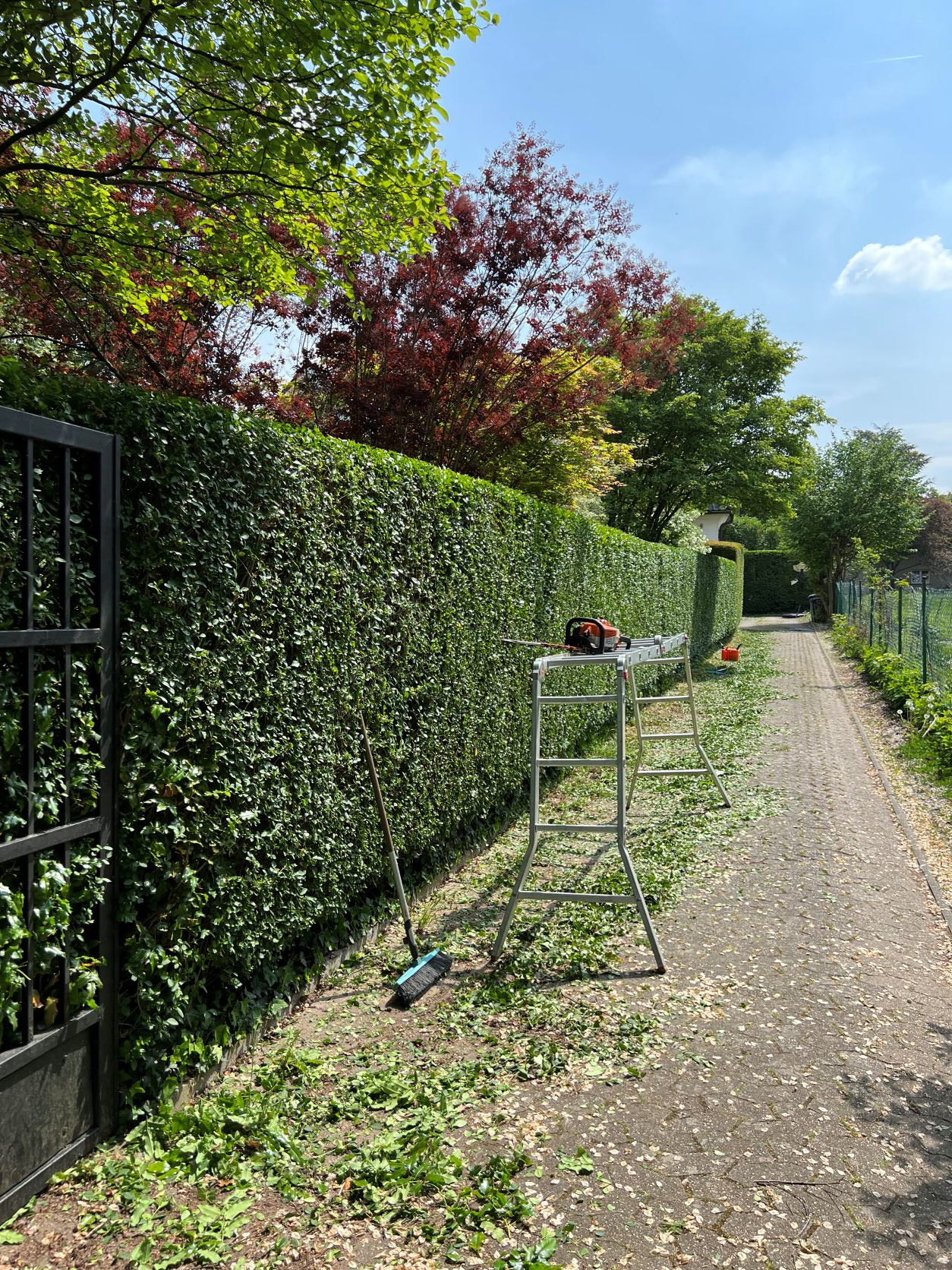 Hecke